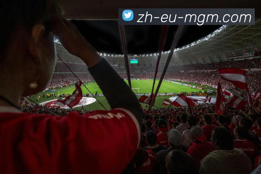 多媒体互动体验